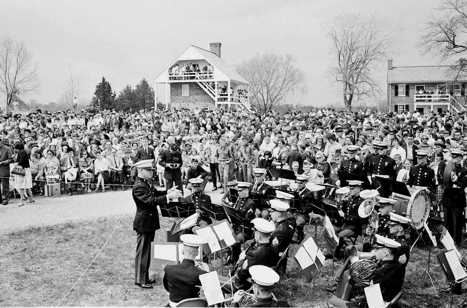 APP 100 band.jpg